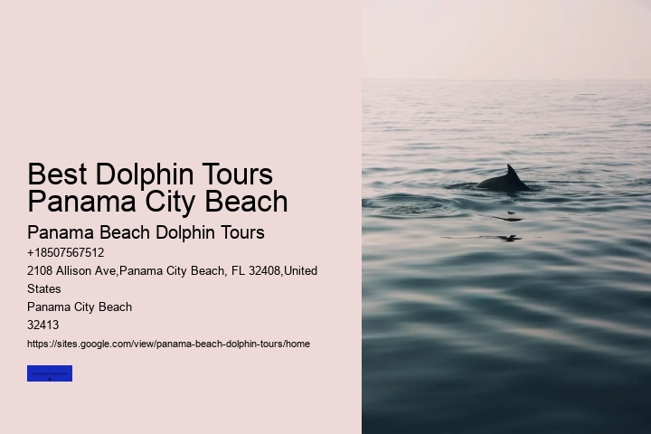 Best Dolphin Tours Panama City Beach