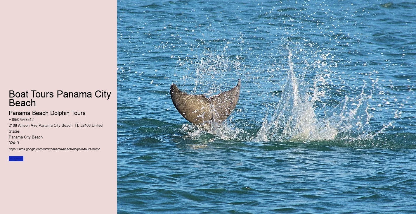 Dolphin Conservation Trips