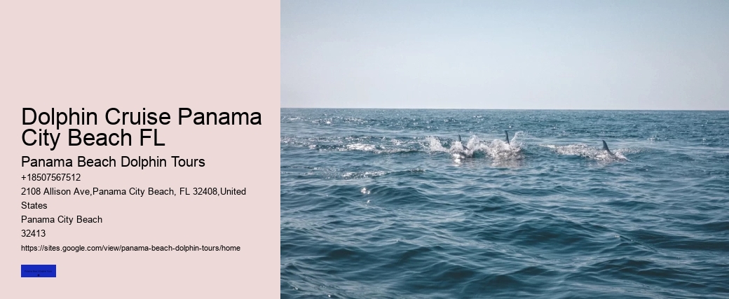 Dolphin Cruise Panama City Beach FL