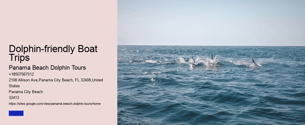 Dolphin-friendly Boat Trips