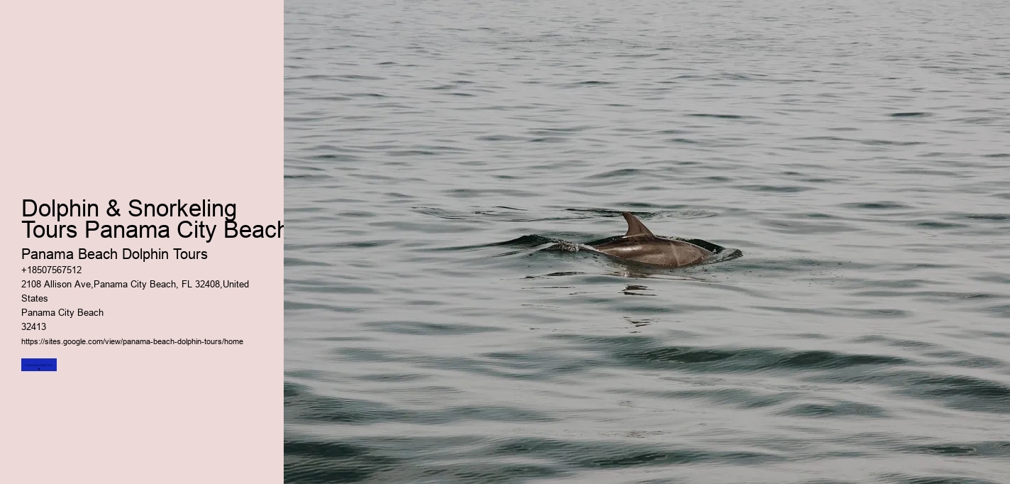 Dolphin & Snorkeling Tours Panama City Beach