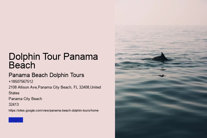 Dolphin Tour Panama Beach