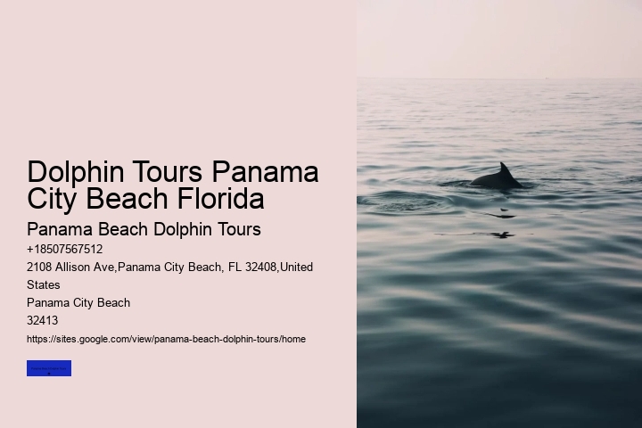 Dolphin Tours Panama City Beach Florida