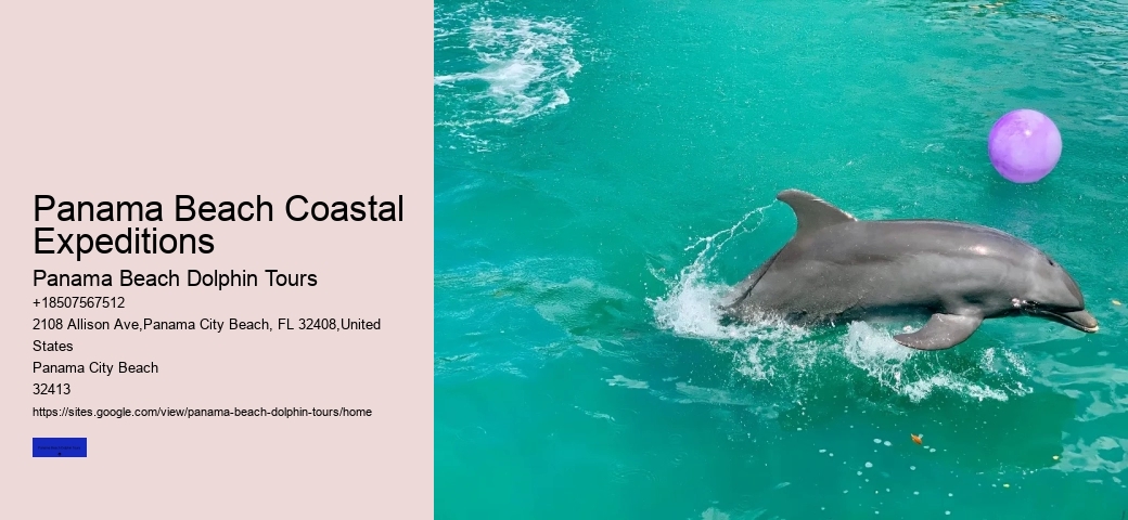 How Long Is The Ride To Shell Island