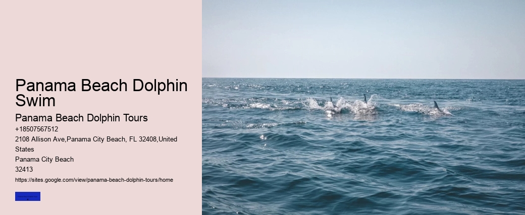 Panama Beach Dolphin Swim