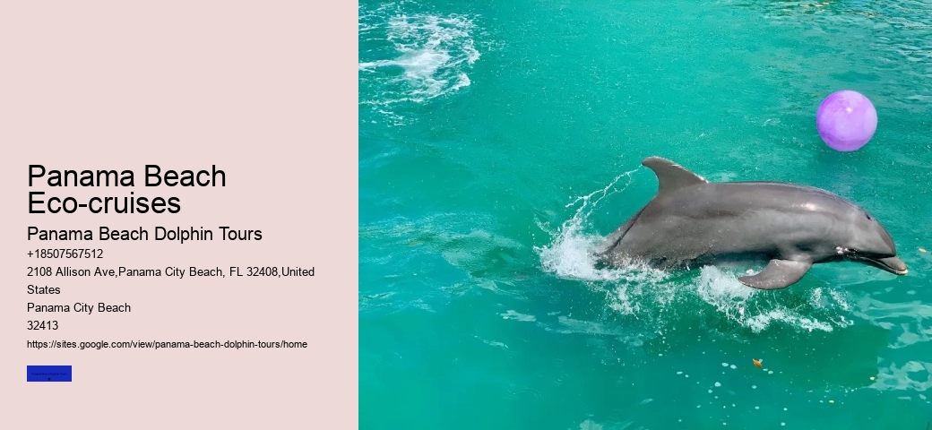 Interaction With Wild Dolphins May Result In Disease Transfer