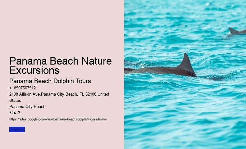 Dolphin Discovery Tours