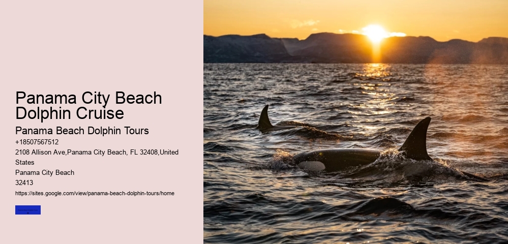 Can Dolphins Smell Menstrual Blood