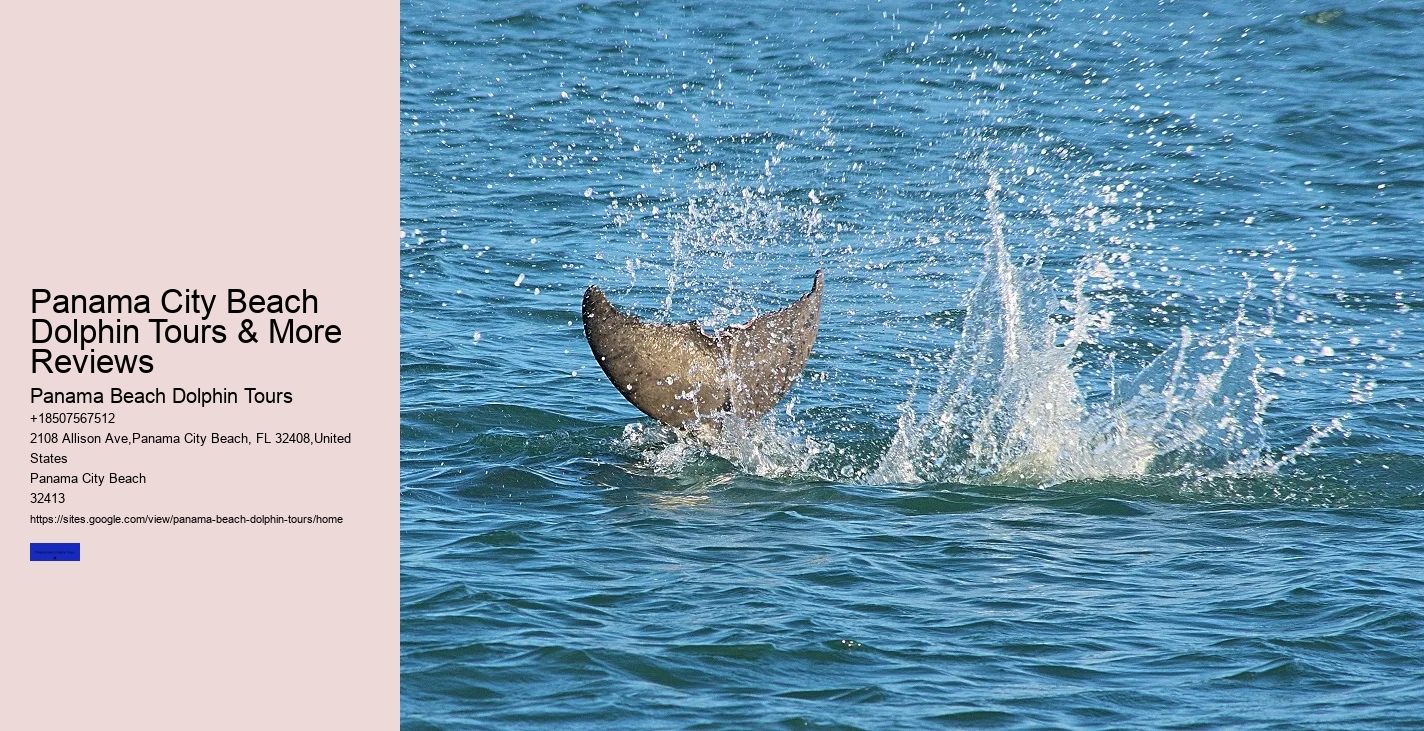 Boat Tours Panama Beach