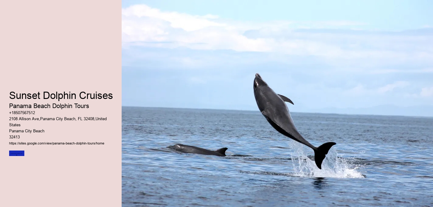 Sunset Dolphin Cruises