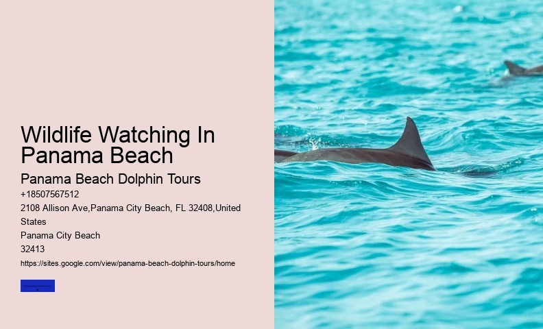 Are Dolphin Tours Ethical