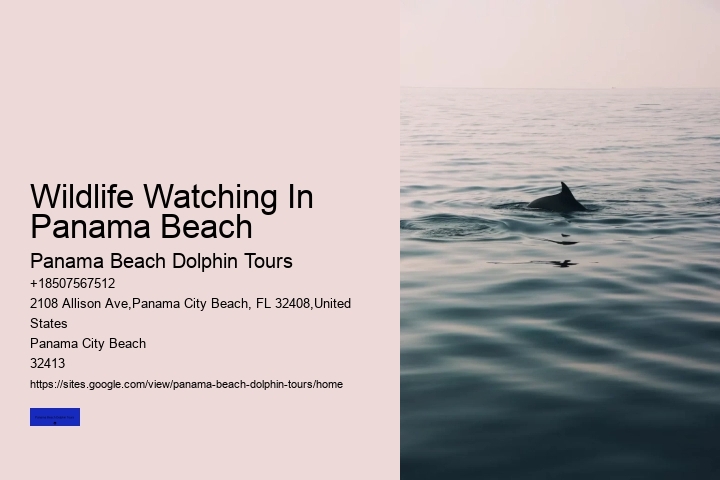 Wildlife Watching In Panama Beach